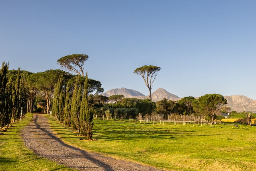 0 Bedroom Property for Sale in Somerset West Rural Western Cape